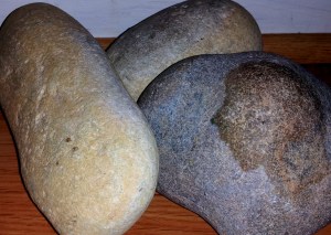 These rocks were among the few things I was determined to salvage from my post-Katrina home.