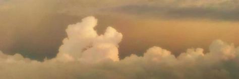 262982_10151093166318197_1706639653_n