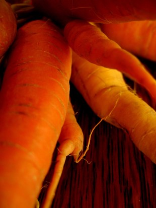 carrots at Sarie's