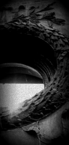 Hard Rock Cafe window