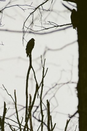 209878_10150159892278197_2354586_o