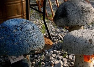 REALLY crunchy mushrooms