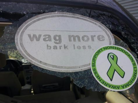 The sentiments on what remained of my rear window.