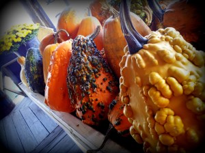 Autumn at the Amish market