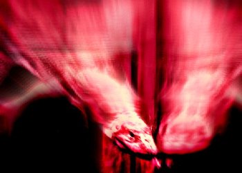 252896_10150250268828197_6391458_n