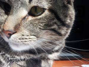 Bodhi, my workout, um, partner