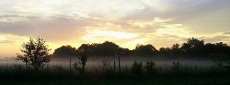 1540415_10152267166823197_1418957743977641649_o