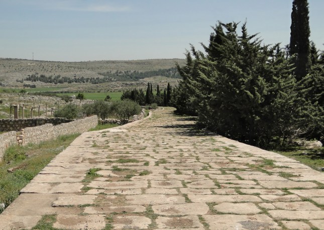 Ancient_Roman_road_of_Tall_Aqibrin