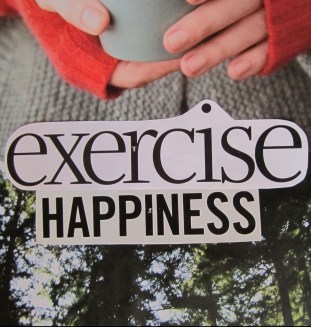 exersiscehappiness.jpg